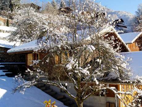 La benoîte des ruisseaux