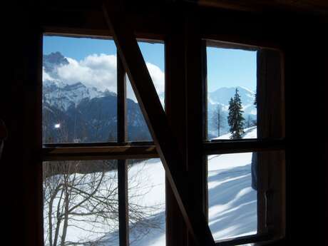 Racchette da neve "La forêt variée du Stiard"