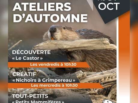 Herbstworkshops im Naturopteros