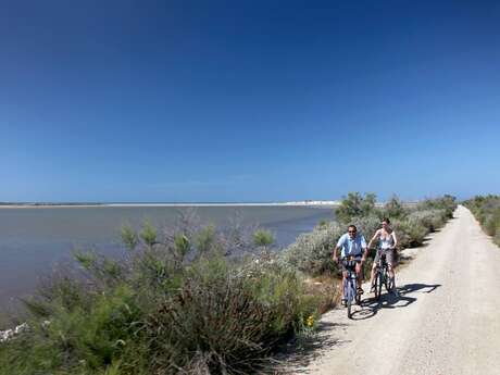 SALIN-DE-GIRAUD - Les trois étangs à vélo