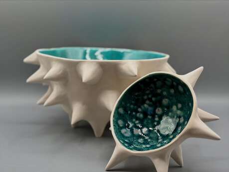 Terre Décalée - Patricia Cohen