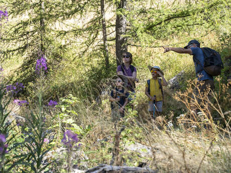 Chasse aux trésors de l'Ubaye