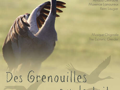 Film Conference: Documentary Frogs on the Roof, Migrating with the cranes