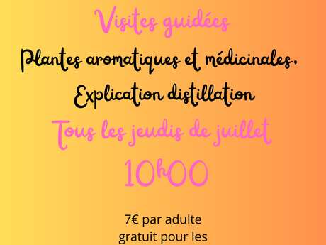Visites guidées: Plantes aromatiques et médicinales.