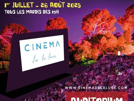 Cinéma en plein-air Festival de la Lune - Avignon