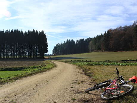 N°93 - La boucle de l'Ecomusée - Espace VTT Montbrison-Monts du Forez