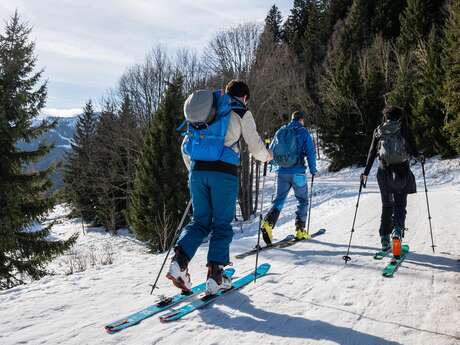 Ski de randonnée printanière