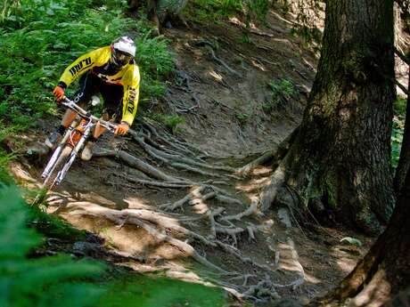Piste VTT la Gueps