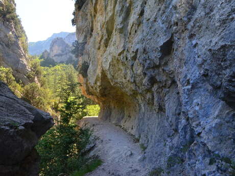 Gorges de Trévans - Sentier du belvédère