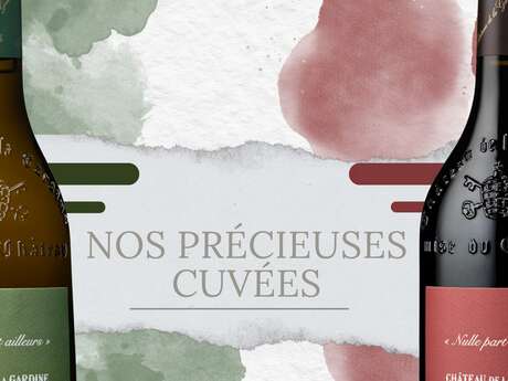 Journée dégustation - Nos précieuses cuvées