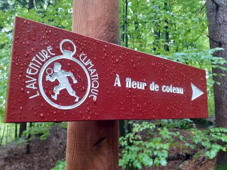 Sentier thématique "A fleur de coteau"