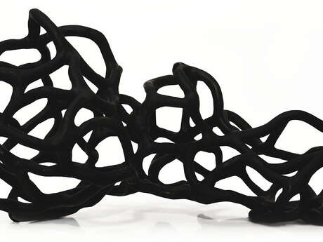 Les Expos du Château - mars