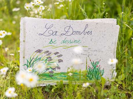 La Dombes se dessine à Prêle