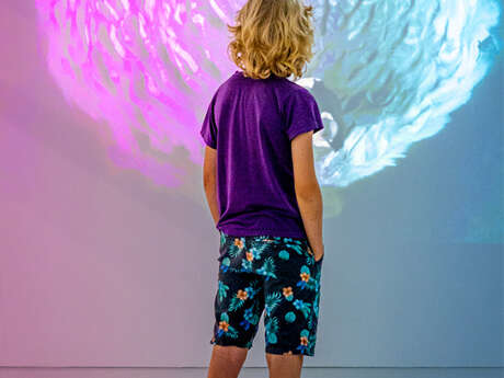 Visites en famille au Musée d'Art Contemporain [mac]