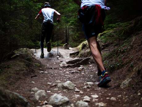 Trailstrecken Massif du Forez