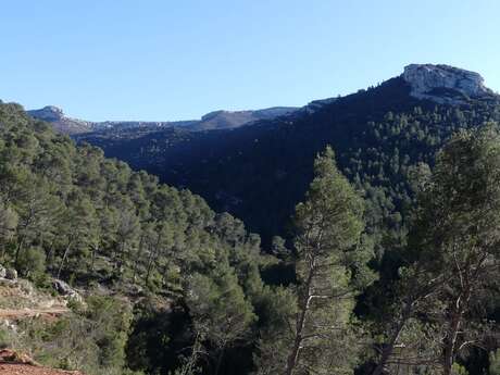 AURIOL - Le bois de la Lare