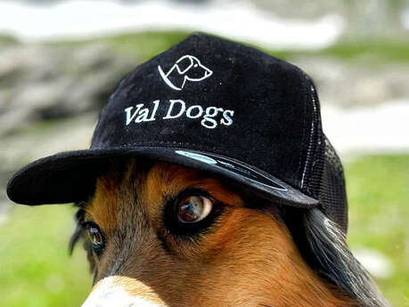 Val Dogs
