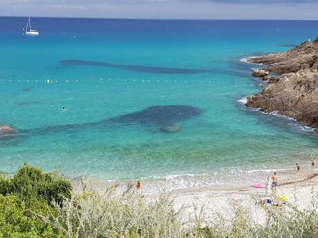 Bréhant Marie-Christine