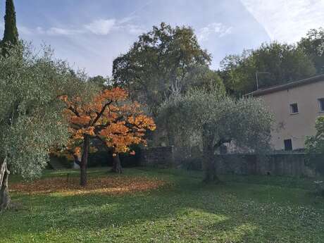 Le Romanil - Roquefort-les-Pins