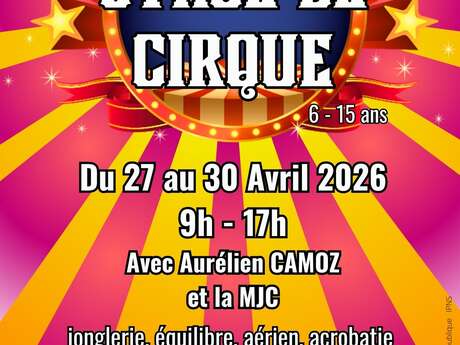 Stage de cirque