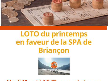 Spring lottery - Domitys