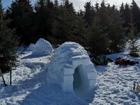 Construction d'igloo