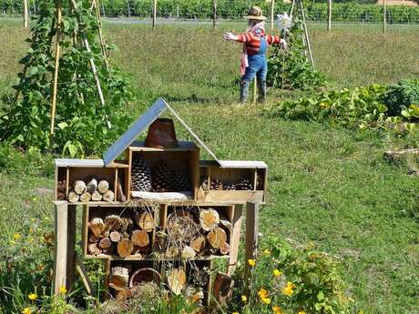 Fabrication d'hôtel à insectes et découverte