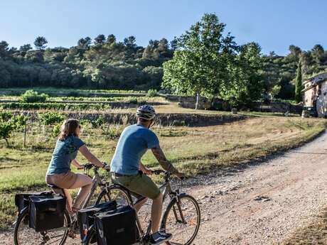 Amour, Vignes & Vélo