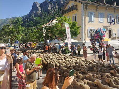 Fête de la Transhumance