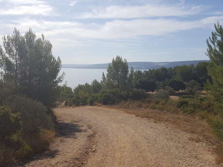 Mountainbike-Bereich des Figuerolles-Parks