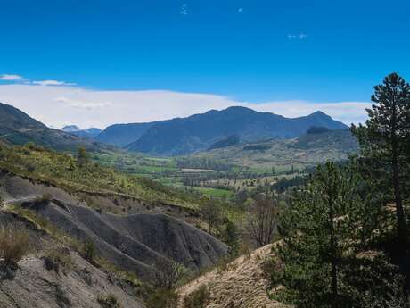 Le ravin de Terre Basse (N°3)