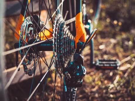 MTB-Tour - Fontaine de Vaucluse