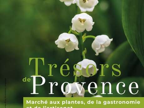 Marché aux plantes, de la gastronomie et de l'artisanat : Trésor de Provence