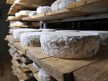 Ferme GAEC Chamonix