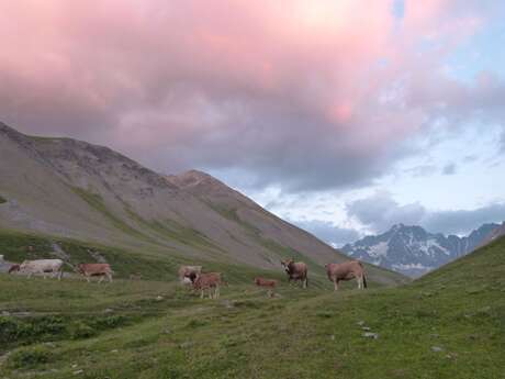 La Boucle du Plan de l'Alpe