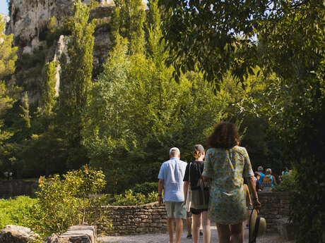 Visite découverte de Fontaine-de-Vaucluse
