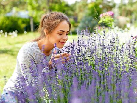 Transformer les plantes, et en langue des signes ?