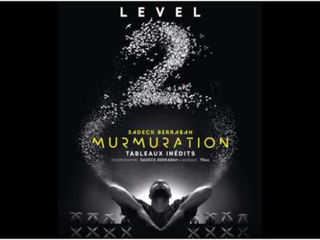 Murmuration Level 2 – Sadeck Berrabah