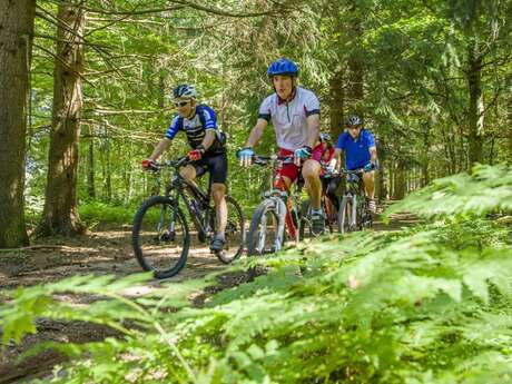 6 - Vers le Pont de Mars