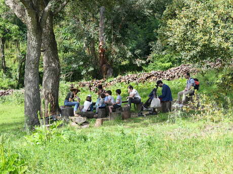 Sous l’arbre aux histoires