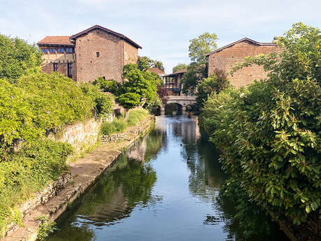 Excursion : Châtillon-sur-Chalaronne, "petite Venise de la Dombes"