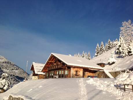 Chalet - 210m² - 8 chambres - Robert Ghislaine Chalet - 210m² - 8 chambres - Robert Ghislaine