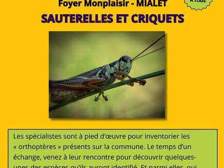 Atlas de la biodiversité - Sauterelles et criquets