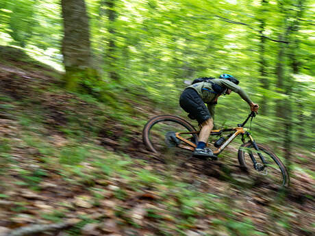 Circuit VTT Enduro N°38 : L’Enduro VTT des Monts d’Azur