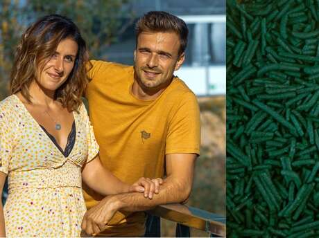 Spiruline "Vert l'Essentiel" - Portes-ouvertes