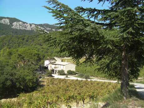 Sentier vigneron au Domaine de Cassan