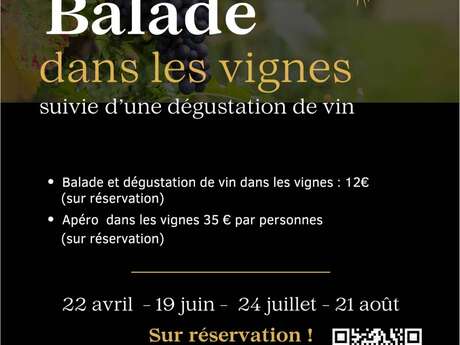 Apéro dans les vignes - Domaine Le Clot de Bénou