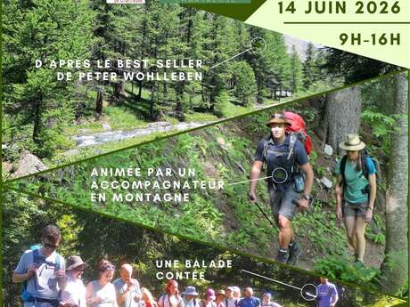 Rando Nature : La vie secrète des arbres