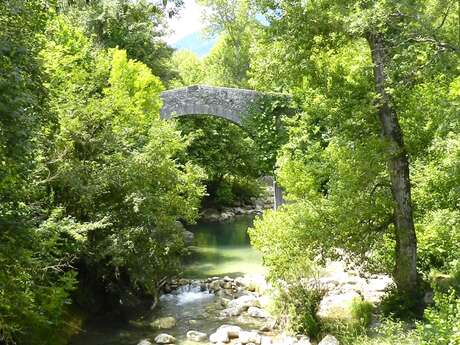 Fleuve côtier le Loup