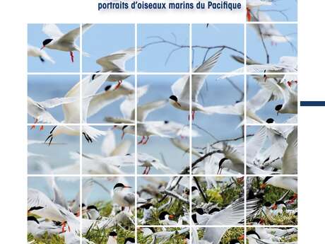 The Wings of the Journey, Portraits of Pacific Seabirds